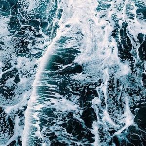 Meet your Posher, Browning